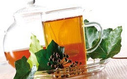 Các loại thảo mộc giải nhiệt 