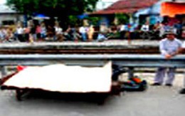 Phụ nữ chăn cừu bị tàu hỏa cán chết