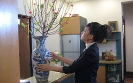 Xem gì, chơi đâu dịp Tết? 