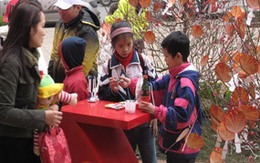 Miền Bắc sẽ đón Tết trong ấm áp