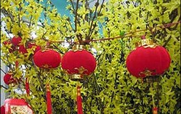 Cách chúc Tết “hot” nhất năm mới