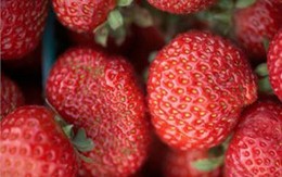 Mẹo giúp răng trắng sáng bóng ngày Tết