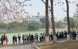 "Cụ" rùa Hồ Gươm nổi trong nắng xuân 