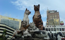Thành phố Mèo