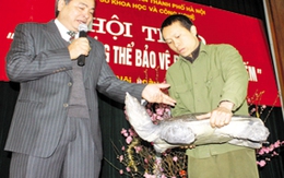 Hà Nội bàn cách cứu cụ Rùa: Nhà “rùa học”… choáng