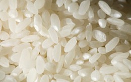 Gạo độc lại gây chấn động