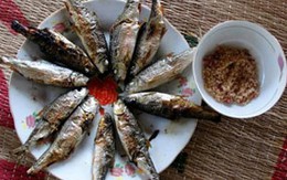 Tử vong do thức ăn mua trước Tết