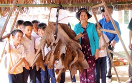 Củ khoai mỡ nặng gần 60kg