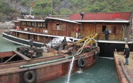 Vụ tàu chìm tại Hạ Long: Nguyên nhân không phải do bục đáy