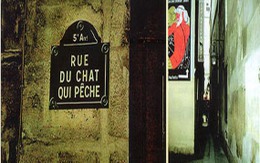 Phố con mèo câu cá