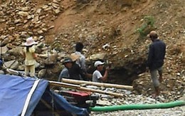 Nạn khai thác vàng nhộn nhịp sau Tết