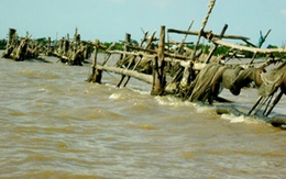 Ba ông cháu chết đuối