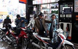 Bộ trưởng Bộ Tài chính: Chống lỗ, ổn định cung cầu