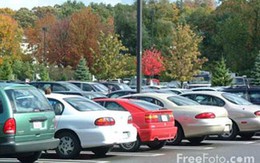 Thầy giáo bị bắt vì hôn học sinh