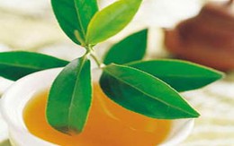 Uống trà giúp giảm mệt mỏi