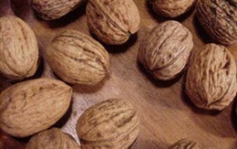 Quả hồ đào giúp phòng ngừa tim mạch