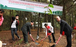 Mô hình rừng nhiệt đới Toyota-EcoEco
