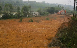 Phạm vào đất Tổ