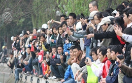 Đưa Rùa Hồ Gươm lên bờ chữa bệnh: Làm lễ trước giờ G