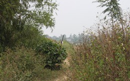 Kỳ án “hiếp dâm” ở Tứ Kỳ, Hải Dương: Đi tìm cô gái bị hại