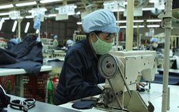 Ngành nào trả lương cao nhất Việt Nam? 