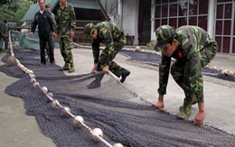 Xem cảnh đặc công luyện cách 'bắt' Rùa Hồ Gươm