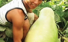 Mỗi tuần 7 chuyện