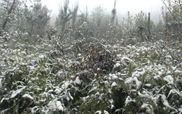 Miền Bắc còn rét một tuần nữa