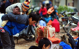 'Độc nhất vô nhị' chợ chim Hà thành