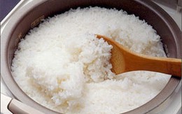 Cách bảo quản thức ăn đã nấu chín 
