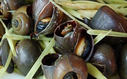 Mẹo làm ốc sạch   