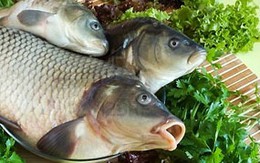 Khử vị đắng khi vỡ mật cá