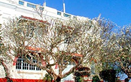 'Thăm' nơi hưởng lạc của Trần Lệ Xuân