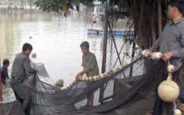 Diễn tập "Đưa cụ Rùa vào lồng" lần 2