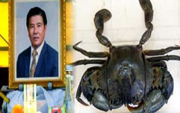 1 người chết vì bị càng cua cắp tay