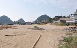 Tại Vân Đồn - Quảng Ninh: Cấp sai hàng nghìn hécta đất