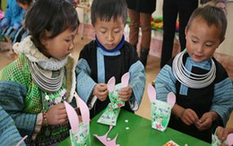 Ươm mầm trên rẻo cao