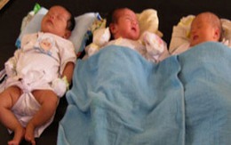 3 bé sơ sinh bị bỏ rơi đáng thương ở chùa 