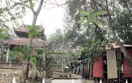 Gò Đống Thây đang biến mất?