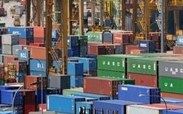 Mắc kẹt trong container cùng xác chết