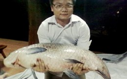 Săn được cá trắm đen khổng lồ sau hơn 2 năm nhử mồi