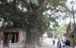 Ngôi làng của những truyền thuyết