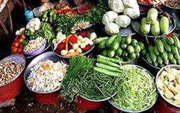 Trung Quốc phát hiện phóng xạ trong nhiều loại rau 