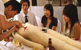 "Bữa tiệc tử thi" gây sốc