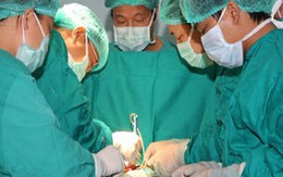 Mang bệnh vì "yêu" bằng "cửa sau"