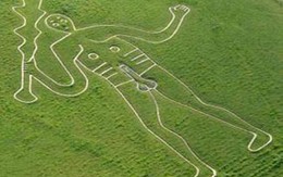 Kỳ quặc cánh đồng chữa vô sinh 