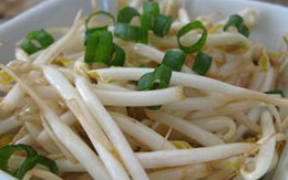 Đến lượt giá đỗ nhiễm độc