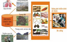 Giảm nguy cơ phơi nhiễm dioxin trong thực phẩm