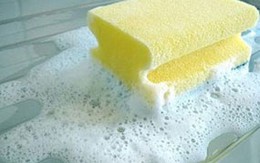 Miếng rửa chén bát dễ gây bệnh