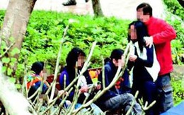 Chuyện lạ ôsin Đài Loan